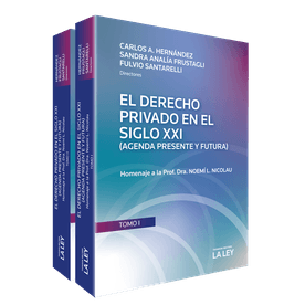 El Derecho Privado En El Siglo Xxi, Agenda Presente Y Futura: Homenaje A La Prof. Dra. Noemí L. Nicolau