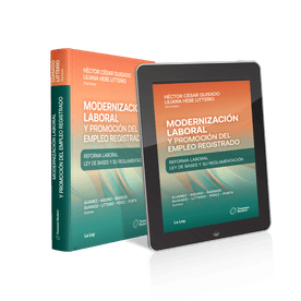 Modernización Laboral Y Promoción Del Empleo Registrado Reforma Laboral Ley De Bases Y Su Reglamentación - Ebook + Papel - 2024